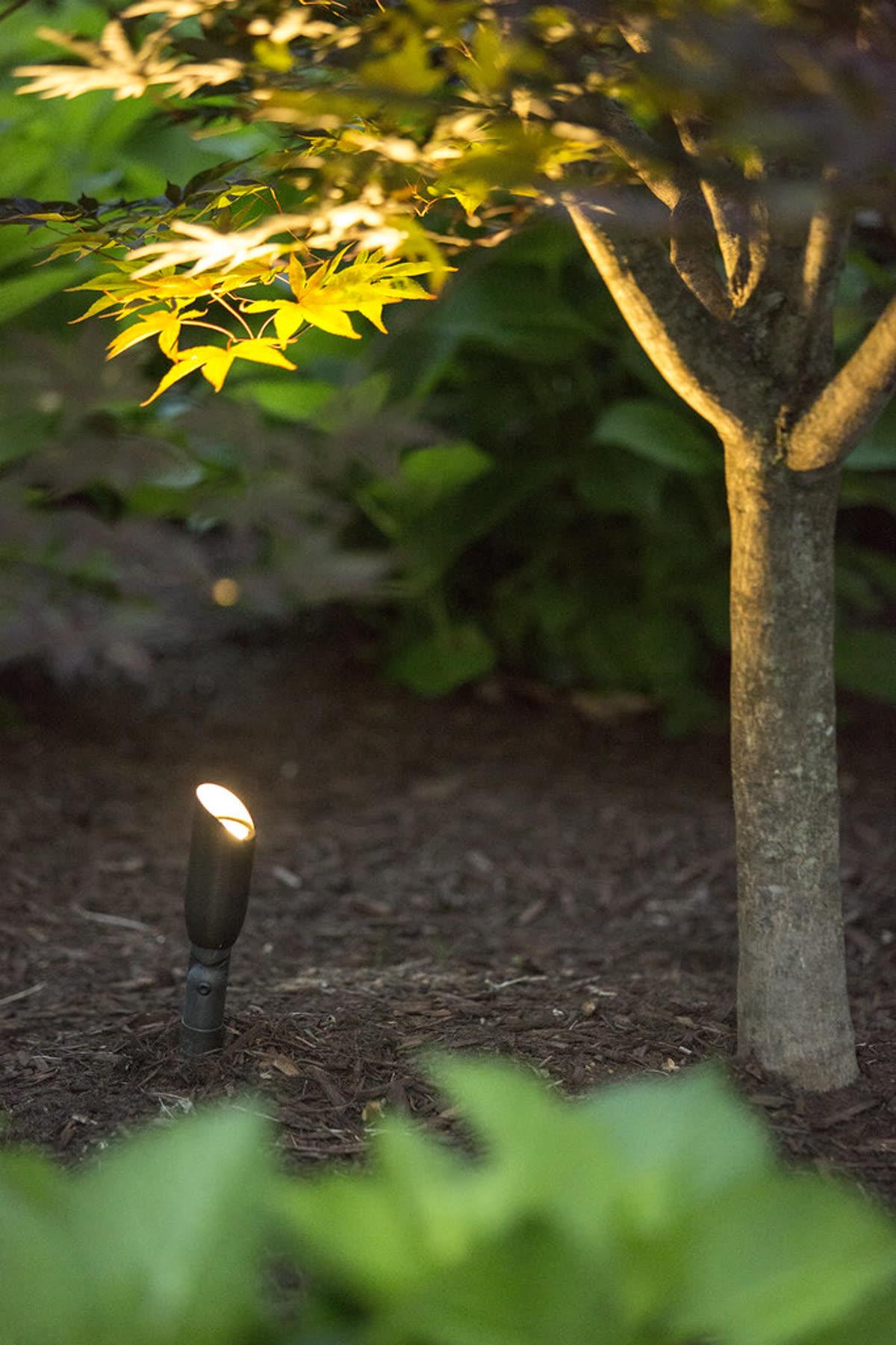 Coastal Source landscape uplighting fixtures illuminating trees and hardscape in an estate garden setting