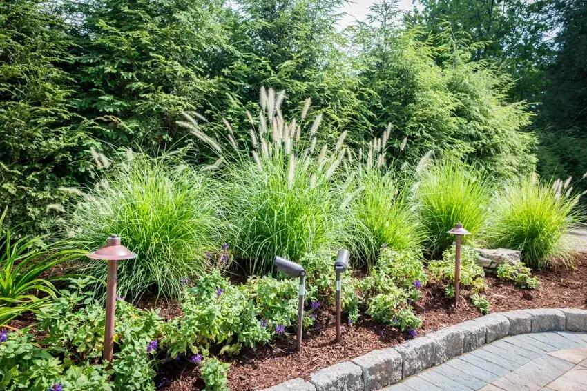 Landscape lighting installation by Terracare Landscaping illuminating residential property hardscape and plantings in Bergen County NJ
